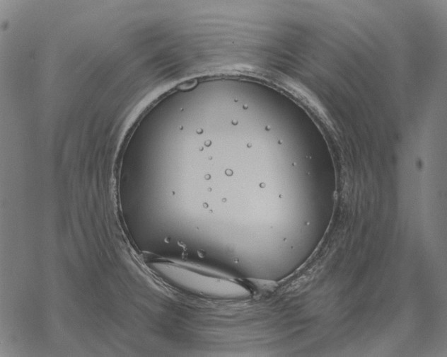 X0000068841332200605261631