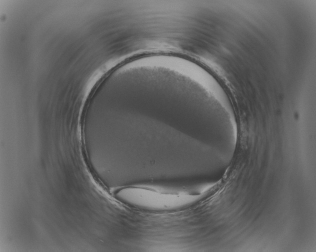 X0000068841335200605261631