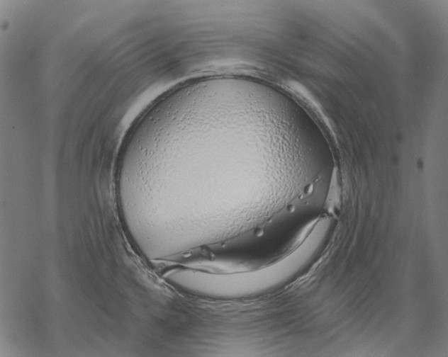 X0000068841336200605261631