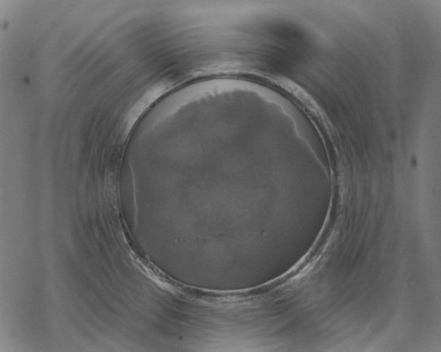 X0000068841337200605261631