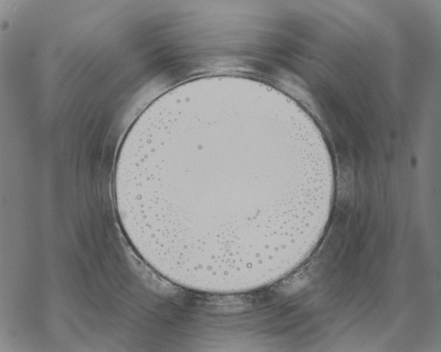 X0000068841338200605261631