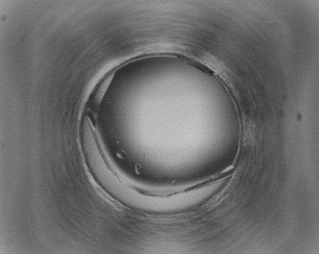 X0000068841342200605261631