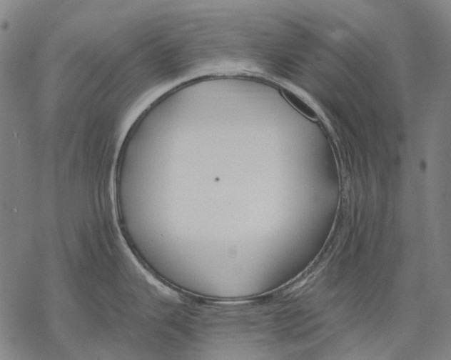 X0000068841343200605261631