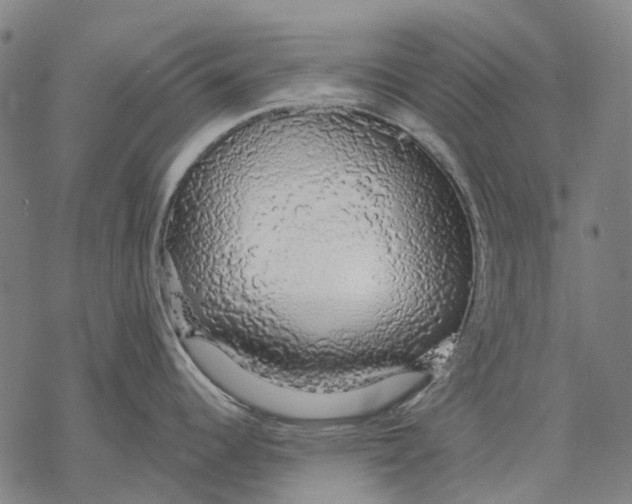 X0000068841344200605261631