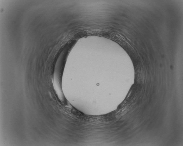 X0000068841345200605261630