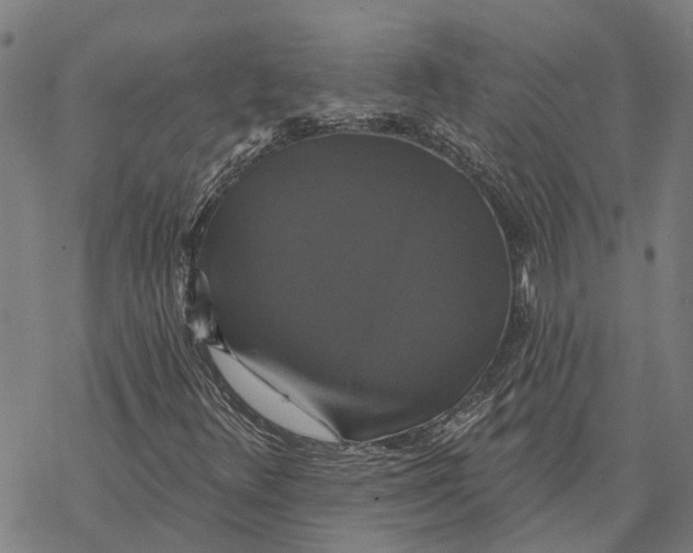 X0000068841348200605261630