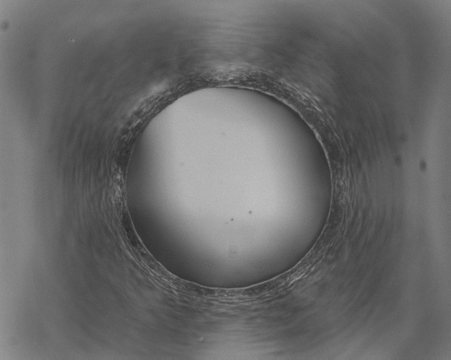 X0000068841349200605261630