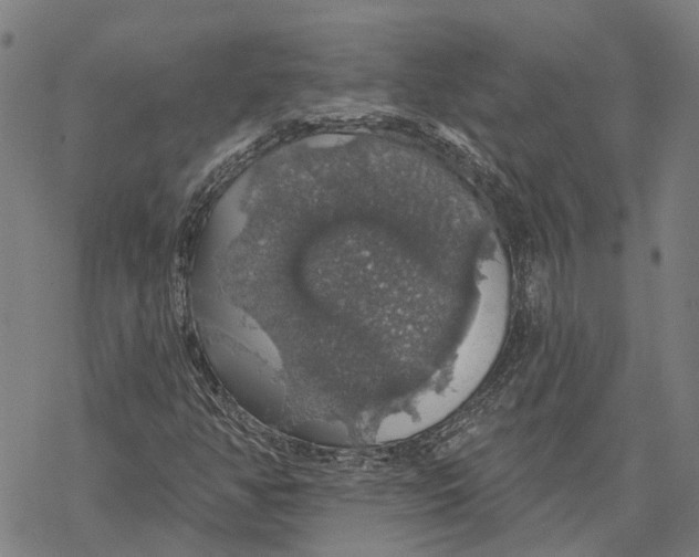 X0000068841350200605261630