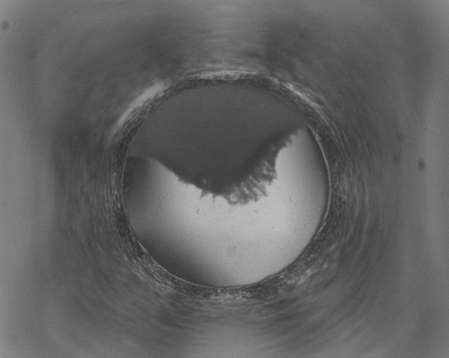 X0000068841351200605261630