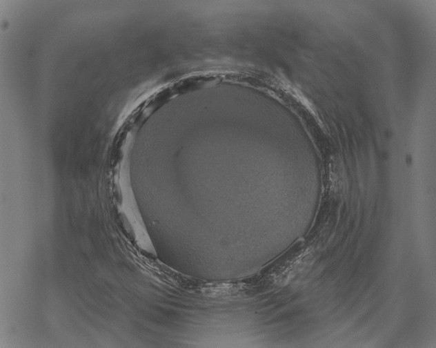 X0000068841352200605261630