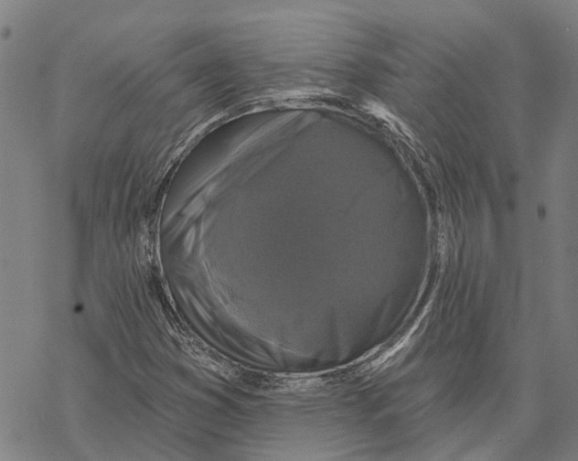 X0000068841353200605261630