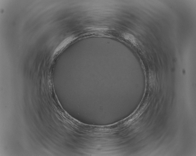 X0000068841354200605261630