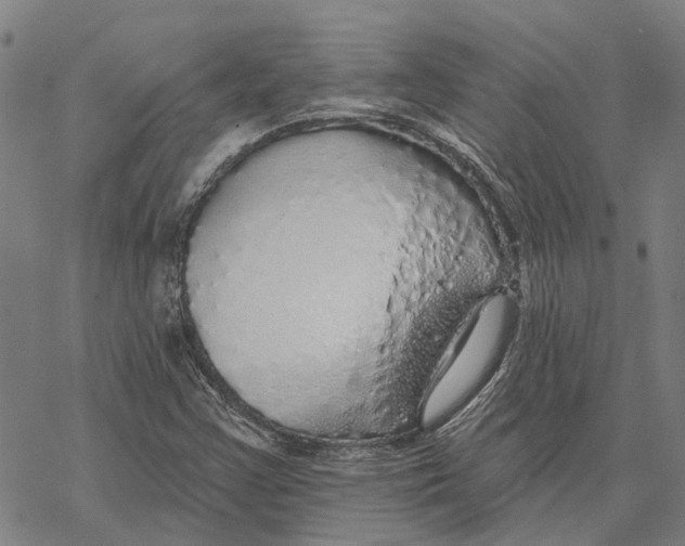 X0000068841355200605261630