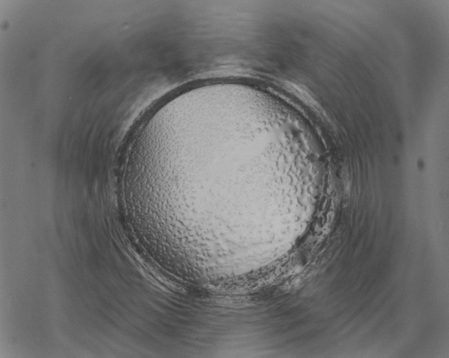 X0000068841356200605261630