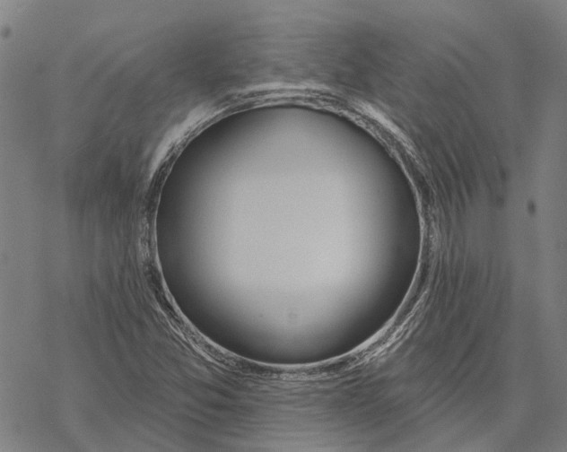 X0000068841357200605261630