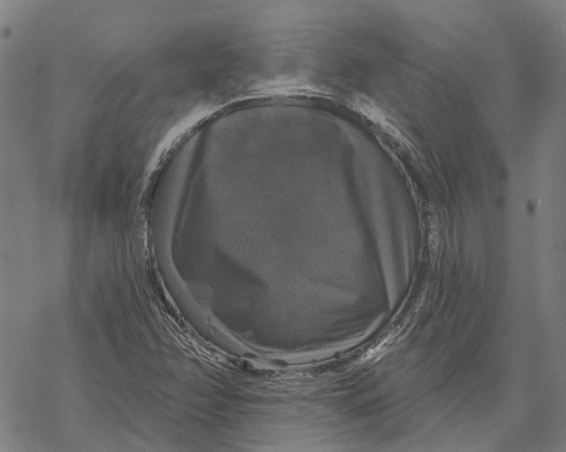 X0000068841358200605261630