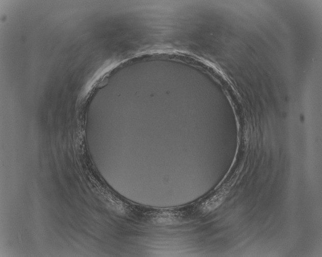 X0000068841359200605261630