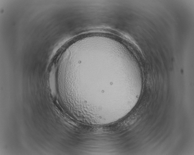 X0000068841360200605261630