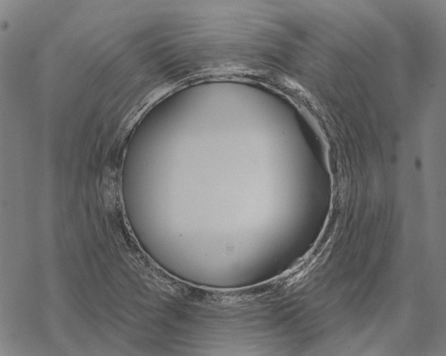 X0000068841361200605261630