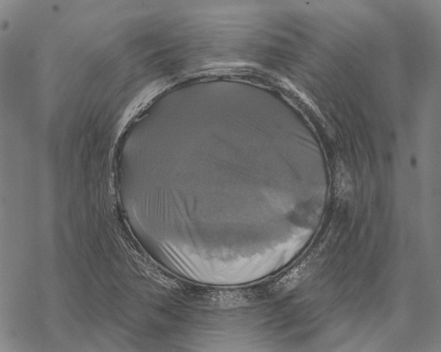 X0000068841362200605261630