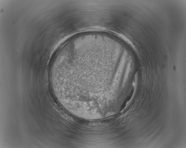 X0000068841364200605261630