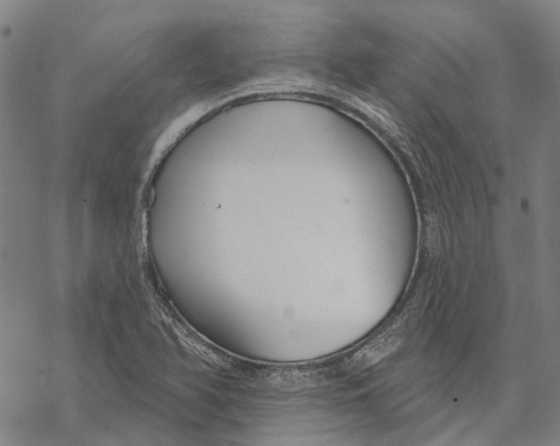 X0000068841366200605261630