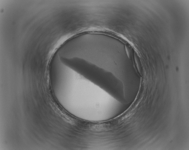 X0000068841367200605261630