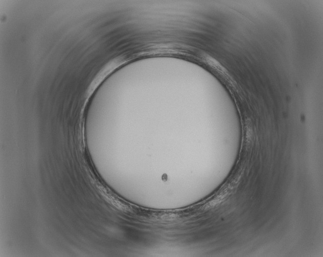 X0000068841370200605261630