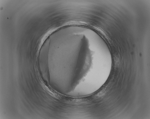 X0000068841371200605261630