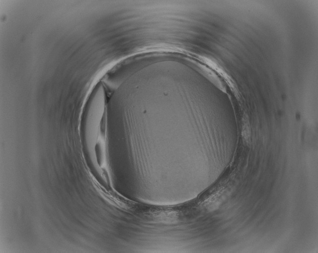 X0000068841372200605261630