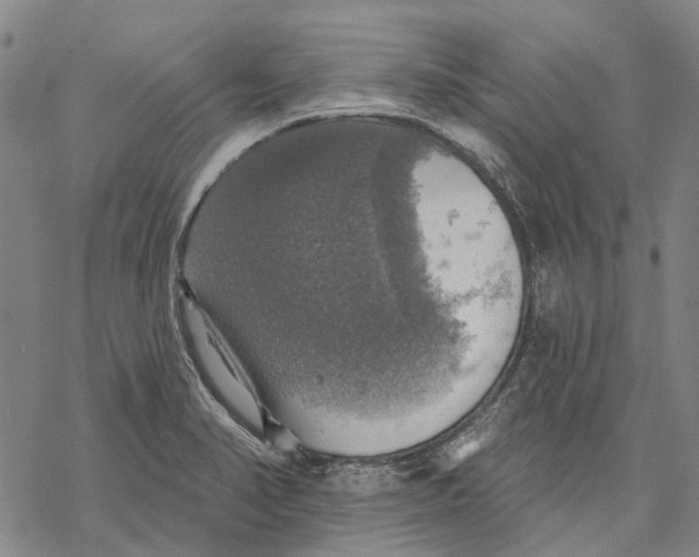 X0000068841374200605261630