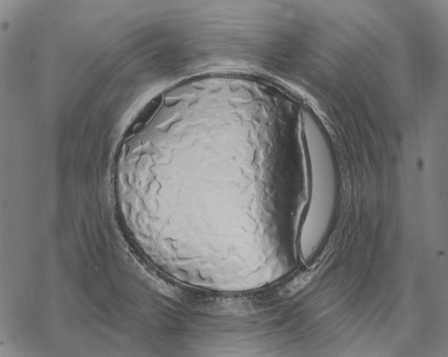 X0000068841375200605261630