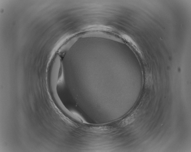 X0000068841376200605261630