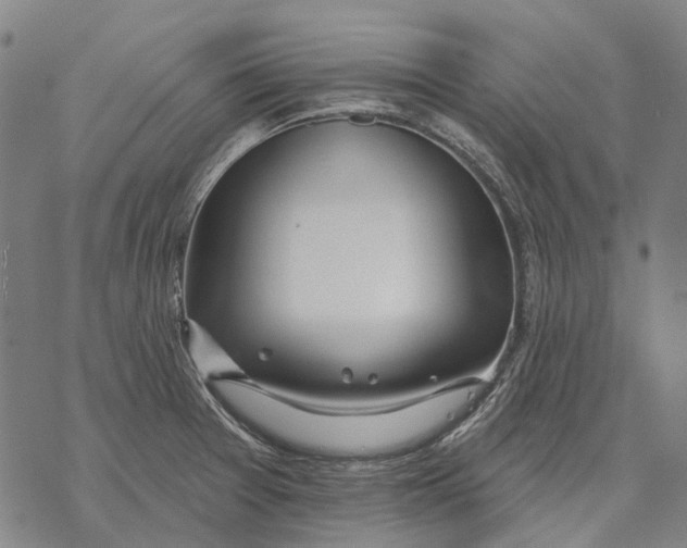 X0000068841377200605261630