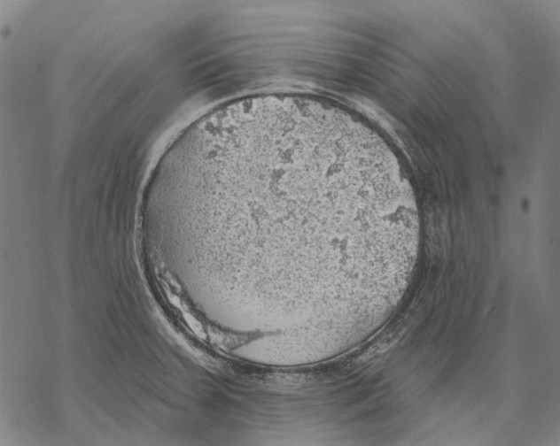 X0000068841379200605261630