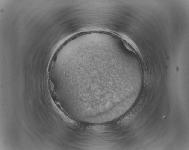 X0000068841380200605261630