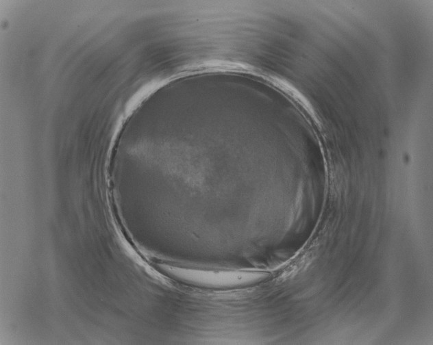 X0000068841381200605261630