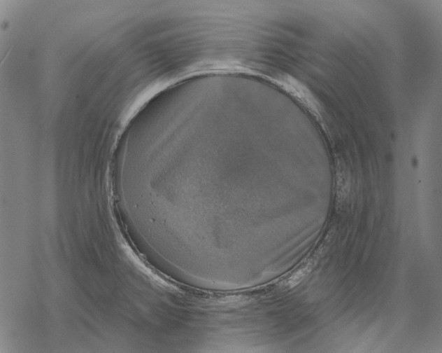 X0000068841382200605261630