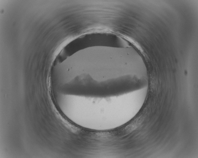 X0000068841383200605261630