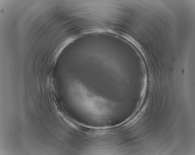 X0000068841385200605261629