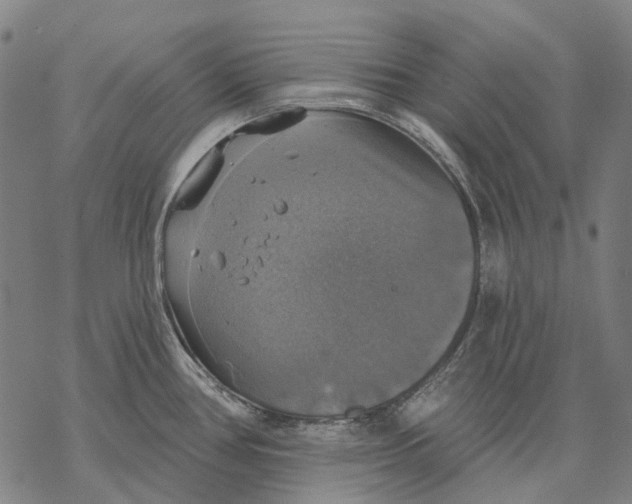 X0000068841386200605261629