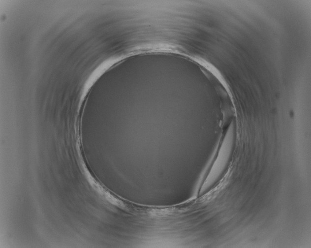 X0000068841389200605261629