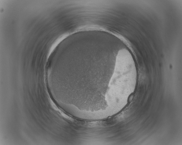 X0000068841390200605261629