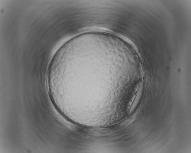 X0000068841391200605261629