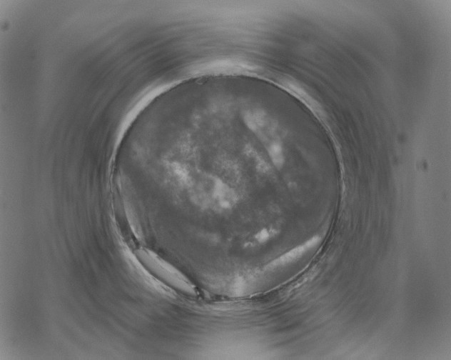 X0000068841392200605261629