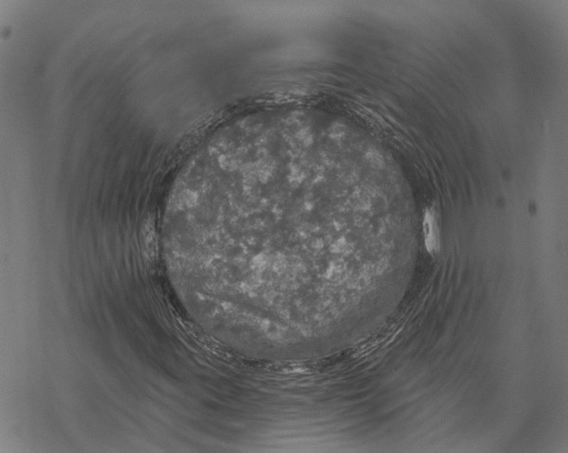 X0000068841395200605261629