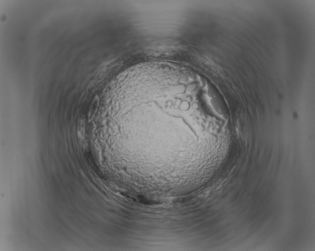 X0000068841396200605261629