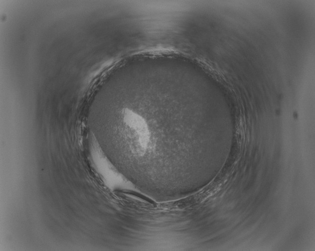 X0000068841398200605261629