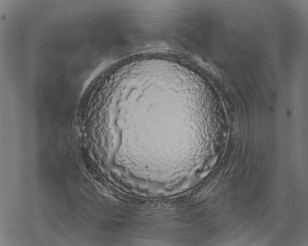 X0000068841400200605261629