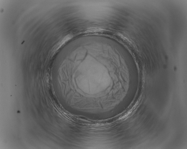 X0000068841401200605261629